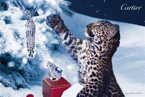 Harnessing the Energy of Cartier Crystals: My Journey with a Miraculous Mascot